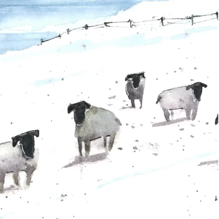 "Winter Woollies!" - Original Watercolour. - Image 4