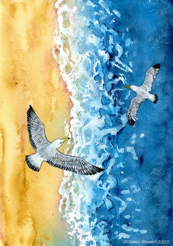 "Soaring Seagulls" Watercolour coastal scene - A4 Art Print - Image 2
